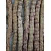 10 Honey Mesquite Seed Pods ( Prosopis glandulosa) Drought Tolerant