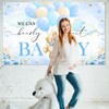 Mocsicka We Can Bearly Wait Backdrop Banner 6x3.6ft