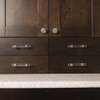 Hickory Hardware 1 Pack Solid Core Kitchen Cabinet Pulls, Luxury
