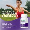 Wellsgoing Chromium Picolinate 200 mcg – Metabolic Support Supplement –