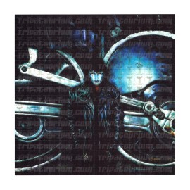 Tripatourium LSD Blotter The Crow by James O'Barr, Unsigned, Limited Edition, 2004