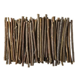 LAZACA 120pcs Wooden Sticks Crafts Twigs for Crafting Natural Wood Unfinished 0.1-0.2 inch 10cm Craft Branches Photo Props Home Decor DIY