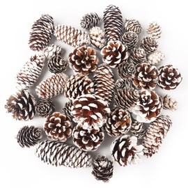 VGOODALL 40PCS Snow Pinecones Decorations, Natural Pine Cones for Crafts Christmas Pine Cone Ornaments for Xmas Tree Wreath Winter Holiday Hanging Ornaments