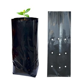 1 3/8 Gallon 50 Pcs Tall Plant Nursery Bags 5.5" x 13", Deep Root Plastic Plant Grow Bags Thicken Tree Seedling Pots for Vegetable, Flower, Fruit, Citrus, Nut Trees, Taproot Saplings