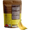 Phyba Plant Protein Powder – Banana Flavour – 450g Vegan