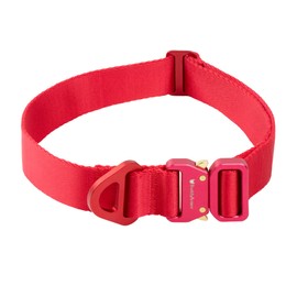 BuddyArmor Premium Dog Collar - Heavy Duty But Lightweight - Adjustable Nylon Dog Collar with Quick Release Alloy Buckle, Training Collar for Small Medium Large Dogs 13-29" Neck (Vivid Red, L)