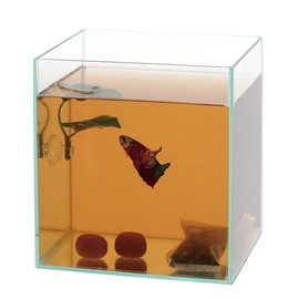 Suisaku Sticky Leaf Extract Pack