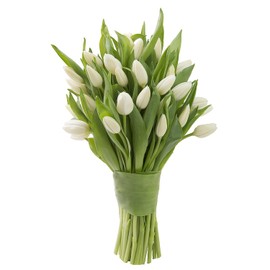 KaBloom PRIME NEXT DAY DELIVERY - Bouquet of 20 White Tulips.Gift for Birthday, Sympathy, Anniversary, Get Well, Thank You, Valentine, Mother’s Day Fresh Flowers