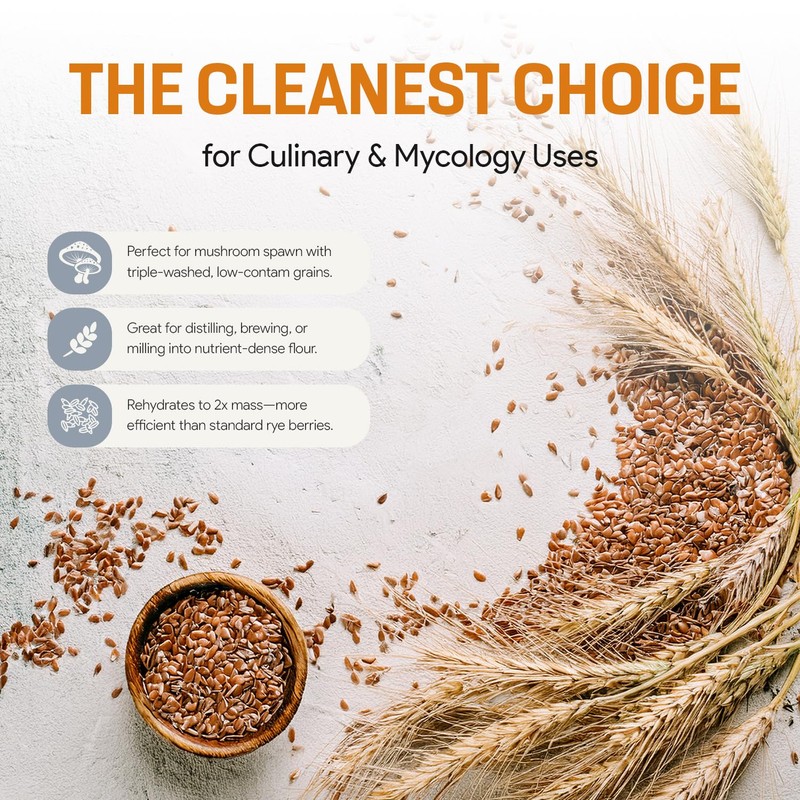 Rye Berries for Mushroom Spawn - Organic, Triple Washed Rye