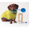PawCheck UTI Test Kit for Dogs with Reusable P-Scoop Telescopic