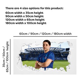 Chelsea Wall Sticker - Sam Kerr 24/25 Broken Wall + CFC Decal Set Football Art (60cm width x 35cm height)