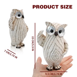 Owl Statue for Home Decor Accents, Decorative Owl Figurine for Bookshelf Bedroom Living Room Office Table Desk Mantle TV Stand, White Resin Modern Decor Ornament, Boho Animal Sculptures (Small)