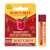 Burts Bees Cranberry Spritz Lip Balm, 4.25 GR