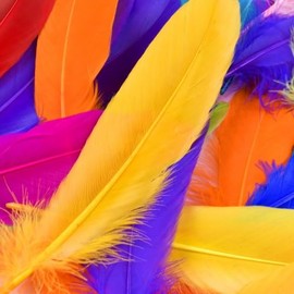 Ehuihuan Colourful Natural Feathers Pack of 100 Feathers for Crafts, Colourful Feathers for Party Decorations, Jewellery, Dream Catchers and DIY