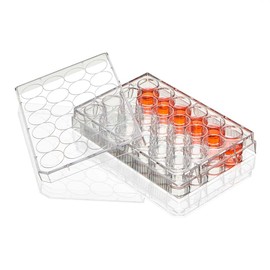 Diamond SureGro Multiple Well Plate, 24 Well, Flat Bottom, Tissue Culture Treated, Sterile, Individually Wrapped, 50/Box