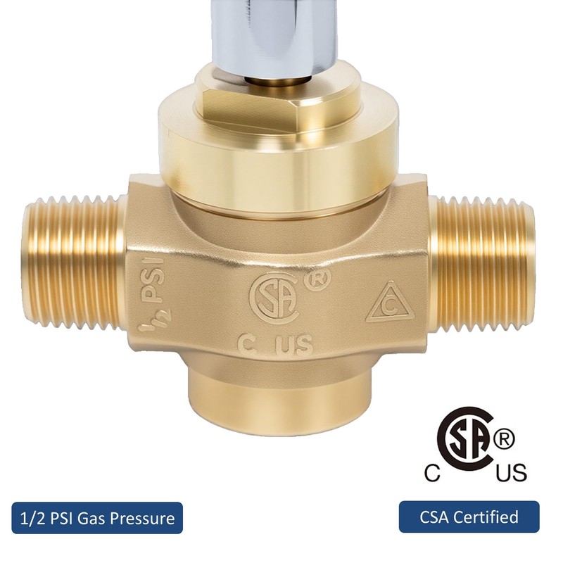 Leyso WR-GV Copper Gas Valve with Handle for Commercial Chinese
