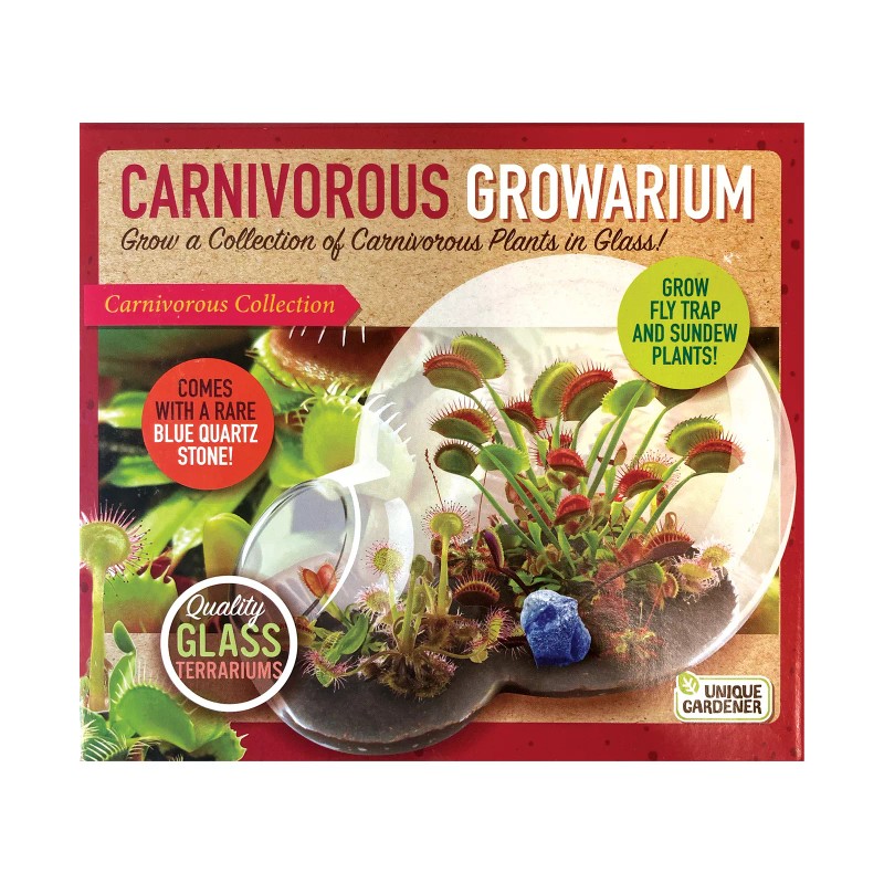 Unique Gardener New - Unique Gardener Double Sphere Glass Terrarium