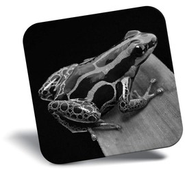 Destination Vinyl ltd Fridge Magnet bw - Striped Poison Dart Frog #37120
