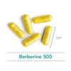 Nutricology Berberine 500 - Metabolic Liver Support - 90 Vegetarian