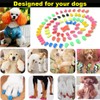 VICTHY 100pcs Dog Nail Caps, Claw Covers With Glue and