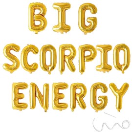 Scorpio Zodiac Birthday Banner - October/November Bday Party Decorations