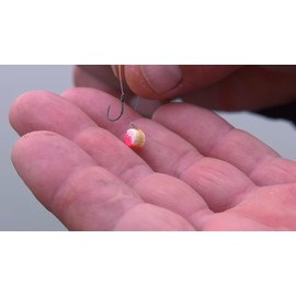 Haldorado 4S Method Pellet Competition Carp Fishing Wafter, 5 mm, Strawberry & Squid Flavour