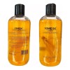 2 Shampoo Reparador Raíz Jengibre Anticaída Crecimiento