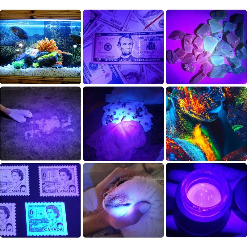 DARKBEAM UV Flashlight 395nm Blacklight Rechargeable USB, Wood's lamp Ultraviolet
