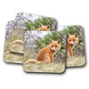 4 Set - Ginger Baby Fox Coaster - Cute Wildlife