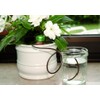 Floraworld Comfort Plant Watering System Set of 3 Brown 3