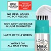 L'Oreal Paris Magic Retouch Permanent Root Concealer, Touching Up Grey