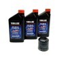 Yamaha Grizzly 450 (2007-2014) all Models AP Oil Filter Change