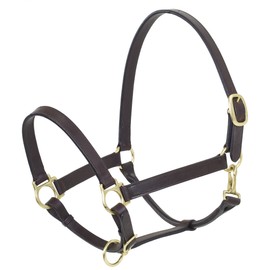 Camelot Leather Adj Stable Halter w/Snap Sckln