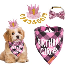 ADOGGYGO Dog Birthday Party Supplies, Multi Size Offered, Birthday Girl Dog Bandana, Dog Birthday Hat Crown with Numbers for Small Dogs Pets (Small, Pink)
