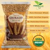 Khorasan Wheat Berries - 100% Certified Organic Khorasan Whole Wheat