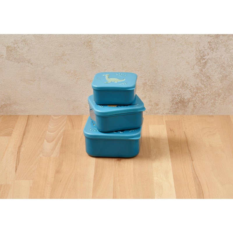 Nesting Snack Boxes, Set of 3 Including Straw Sipper, Tiny