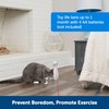 PetSafe Bolt Laser Light Cat Toy With 2 Automatic Play