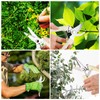 12 Pcs Garden Shears Flower Scissors Pruning Shears Floral Garden