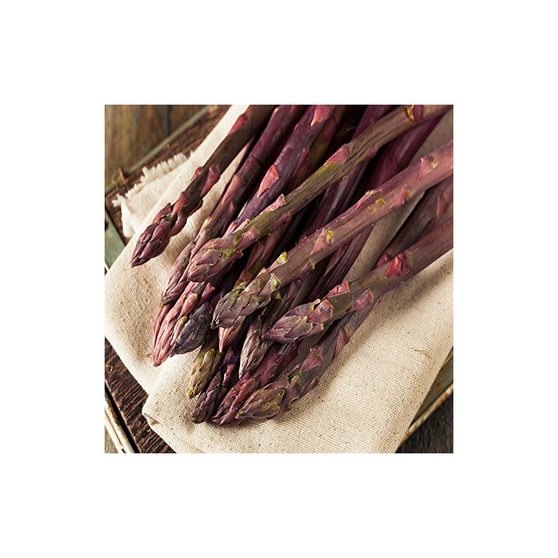 Purple Pacific 10 Live Asparagus Bare Root Plants -2yr-Crowns from