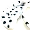 Dalmatian Dog Puppy Floppy Ears On An Alice Hair Band