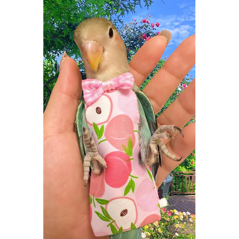 Magnoloran 2 Pcs Bird Diapers Bird Harness Flight Suits Diapers