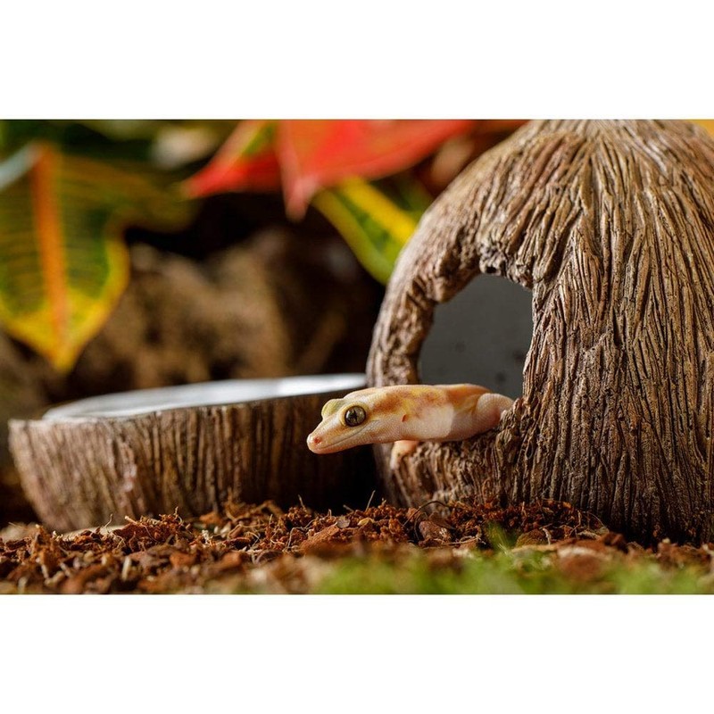 Exo Terra Exo Terra Tiki Hide & Water Dish,Brown,2 count