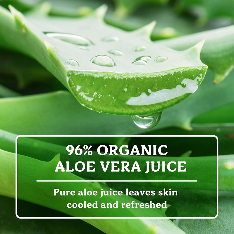 Aloe Vera Gel 4oz