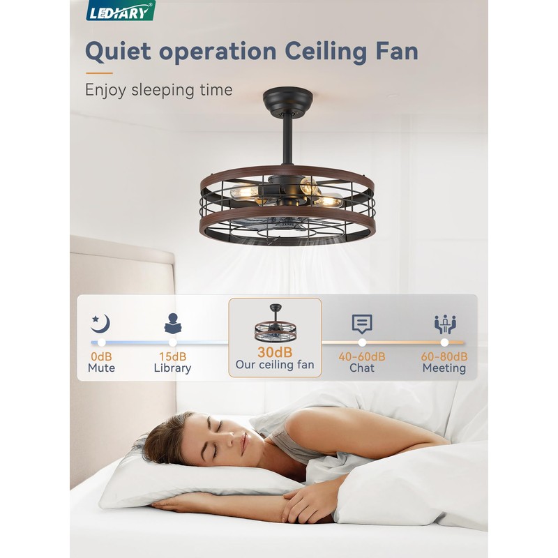 LEDIARY 20 inch Fandelier Caged Ceiling Fan with Light, Bladeless
