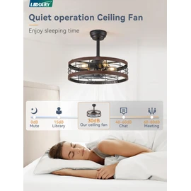LEDIARY 20 inch Fandelier Caged Ceiling Fan with Light, Bladeless Ceiling Fan with Remote, Farmhouse Fan Lights Ceiling Fixtures for Kitchen, Bedroom, Outdoor(6 Speed, Timing) - Walnut