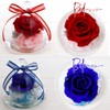 Preserved Flower, Glass Dome, Gift, Glass Case, Present, Flower Gift,
