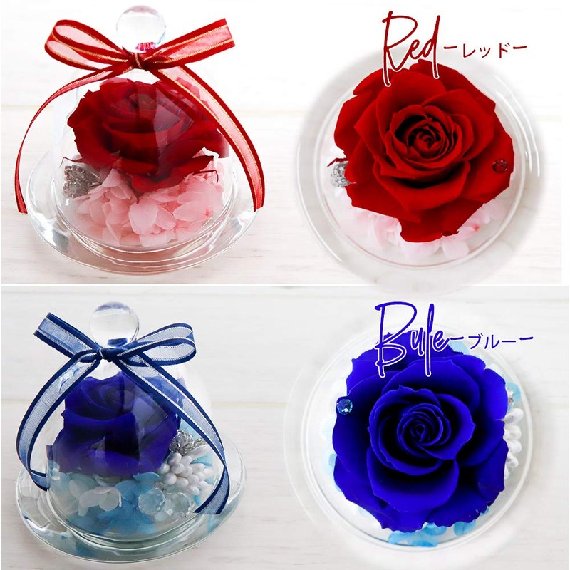 Preserved Flower, Glass Dome, Gift, Glass Case, Present, Flower Gift,