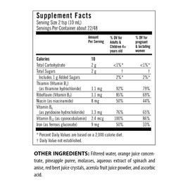 Flora Iron with B-Vitamin Complex - Helps Maintain Healthy Iron Levels - Non-Constipating, Highly Absorbable - Vitamin-B & Liquid Iron - Vegan Supplement - Yeast & Gluten Free, 7.7-oz. Glass Bottle