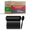 Smarty Had A Party 150 Black Disposable Plastic Serving Spoons