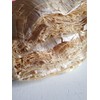 Corn Husks Hojas para Tamal Wrapper Hojas de Maiz Mama-Maley